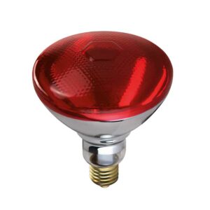 LAMPADA INFRAROSSI ROSSA VETRO RINFORZATO (E27)