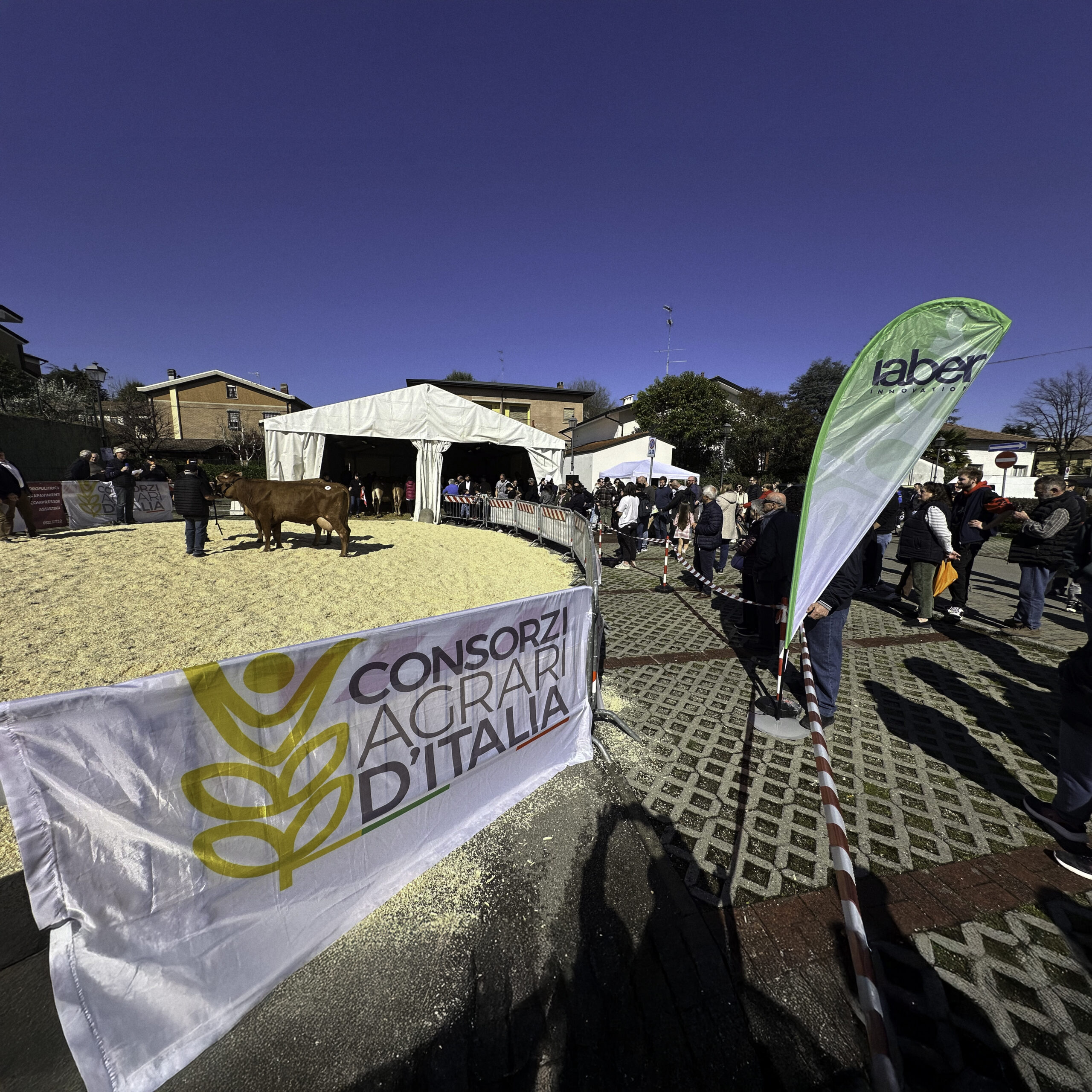 24ª Mostra Nazionale dei Bovini di Razza Reggiana