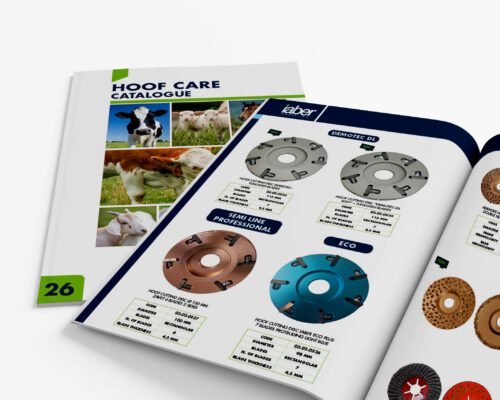 mockup catalogo mascalcia -ING