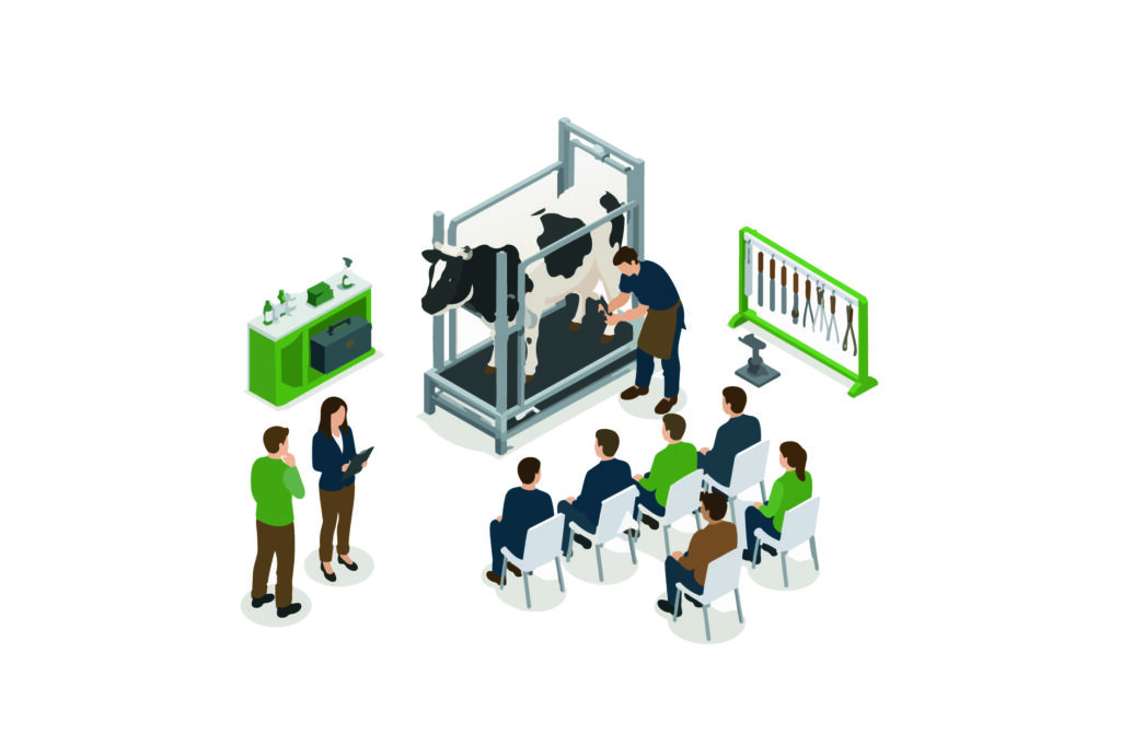 CORSO FORMAZIONE MASCALCIA