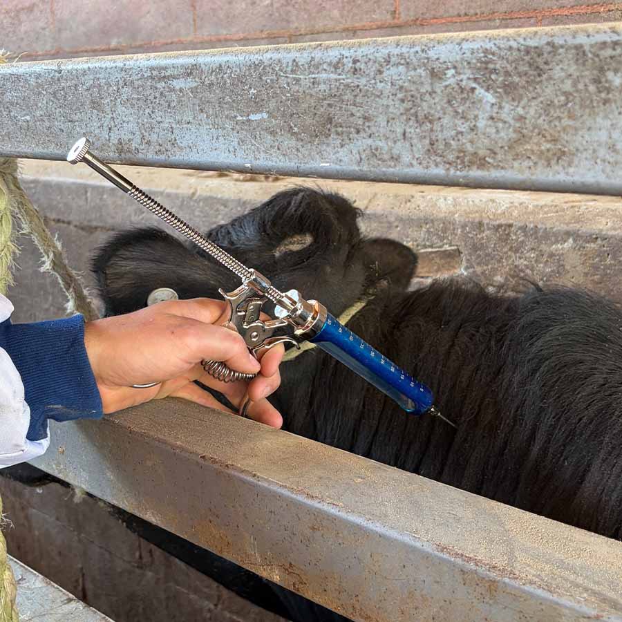 Siringhe veterinarie