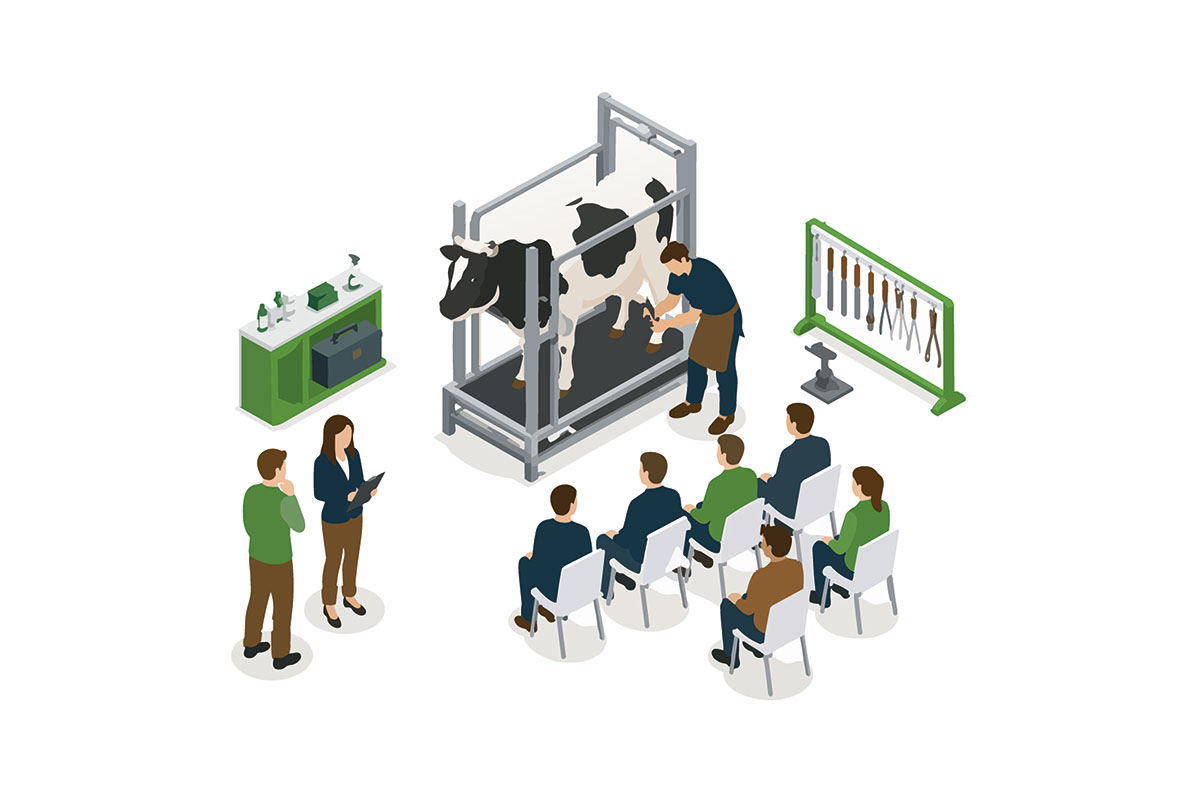 Corso formazione mascalcia